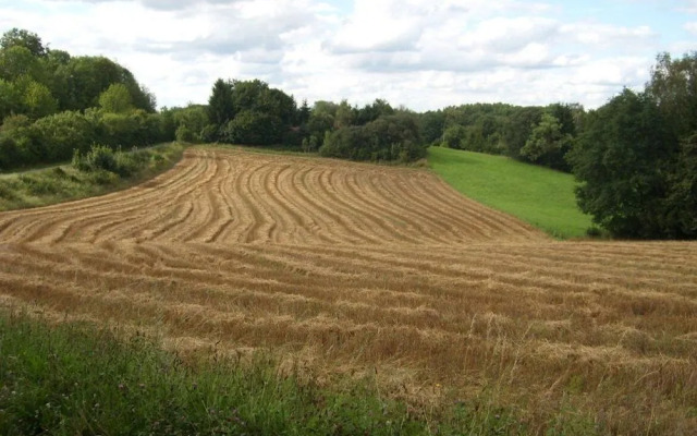 Romantik Hotel Landschloss Fasanerie