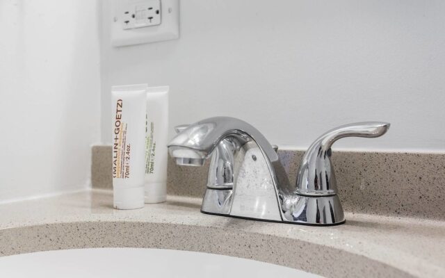 Chestnut Charm - Modern 1 BDR in Downtown