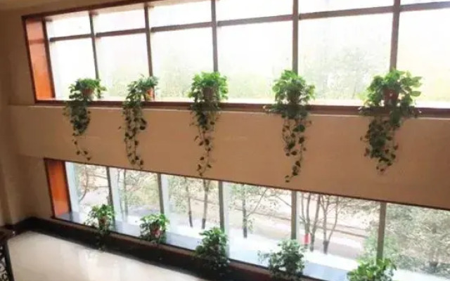 Qianjiang Hotel