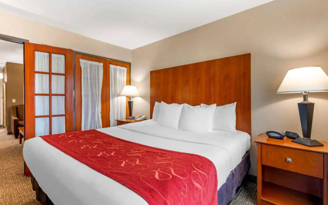Comfort Suites North Dallas
