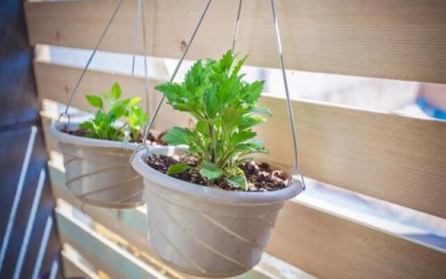 Xing Long No 37 Hostel