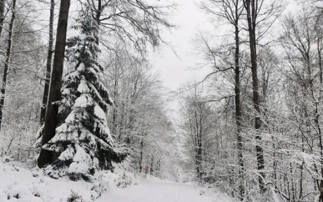 diemelseeholiday romantisches Ferienhaus im Sauerland Nähe Willingen Winterberg