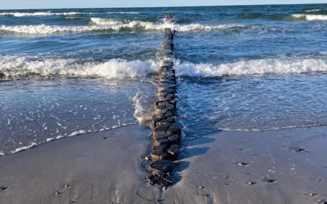 Zingst Achtern Diek 12d Elly