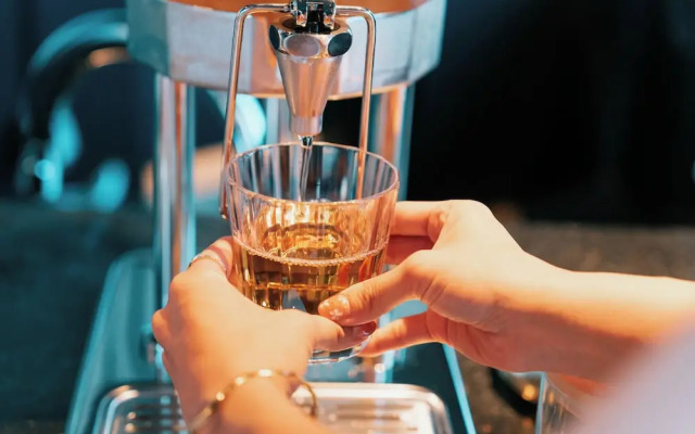 The Senagajima Storyline