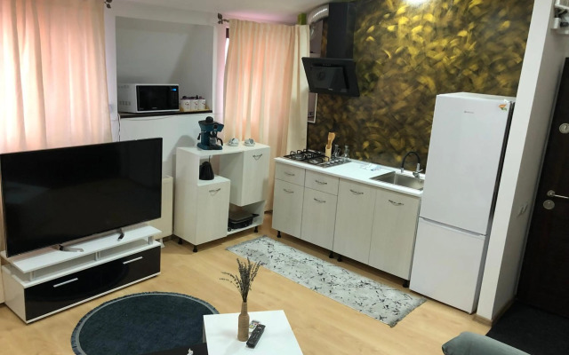 Serban Home Arenele Romane Marius Nasta