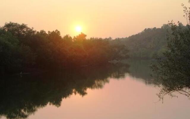 La Mangrove