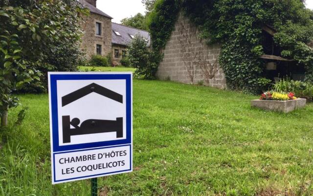 Les Coquelicots