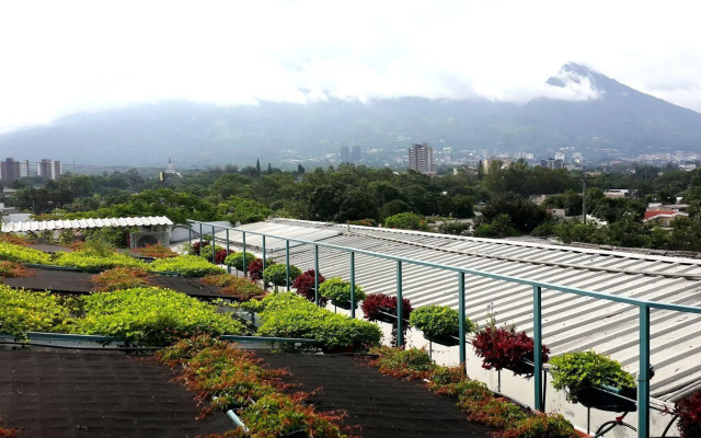 Árbol de Fuego Eco-hotel, a green experience in the city