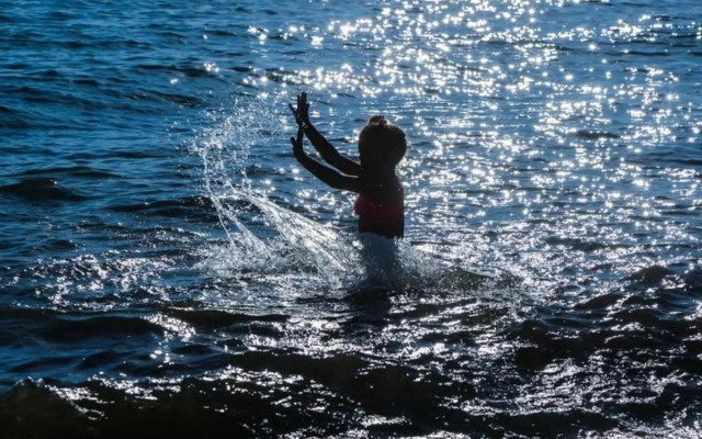 Teos Ormanci Tatil Koyu