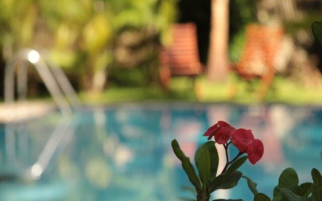 Black Beauty Guesthouse