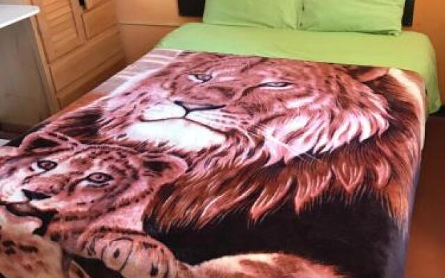 Tour Hostal Wanka