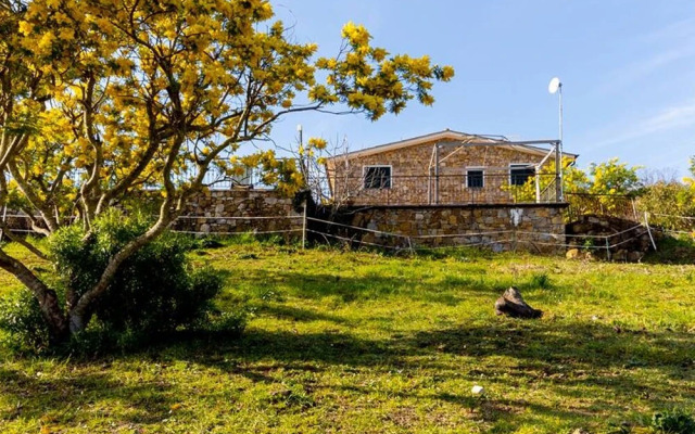 Le Mimose 6 Pax in Imperia