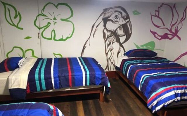 Déjà Vu Backpackers