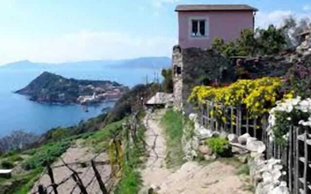 The sea from the hills