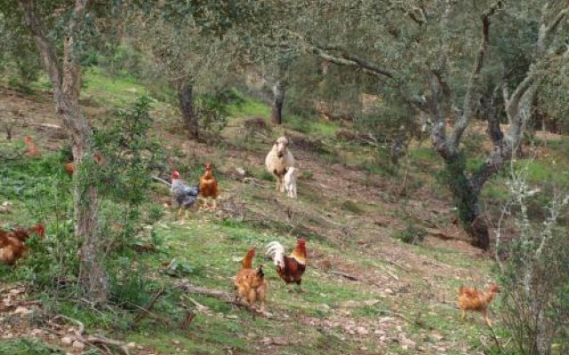 Herdade Dos Montes Bastos