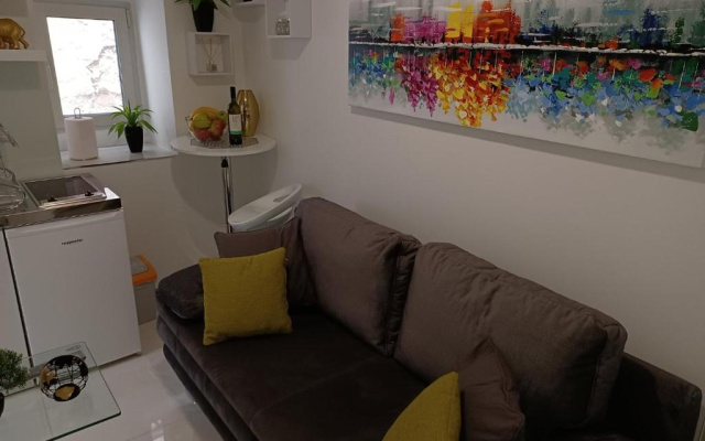 IN the CENTAR APARTMENT