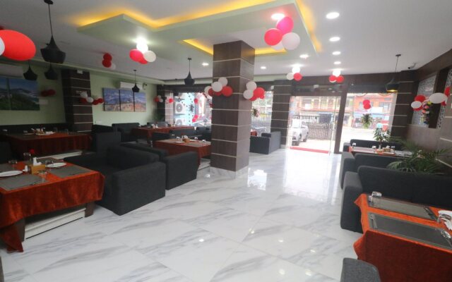 Hotel Gajur Palace