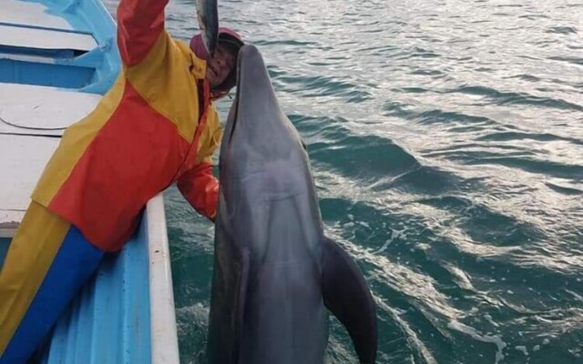 Villas Capitan Petter