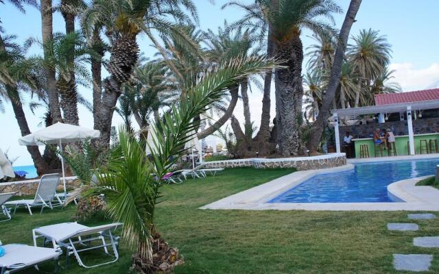 Zeus Hotels Palm Beach