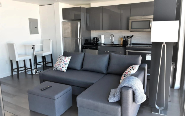 Cozy Skyline Entire Condo in Downtown, Across MTS