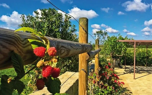 Tenuta Vigna Corallo