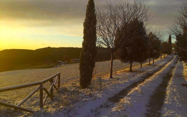 Assisi Country
