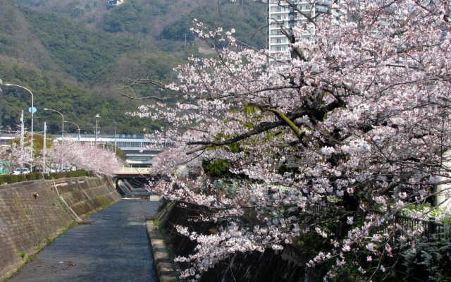 Hotel ISAGO Kobe
