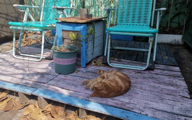 Foshan Cuba Youth Hostel