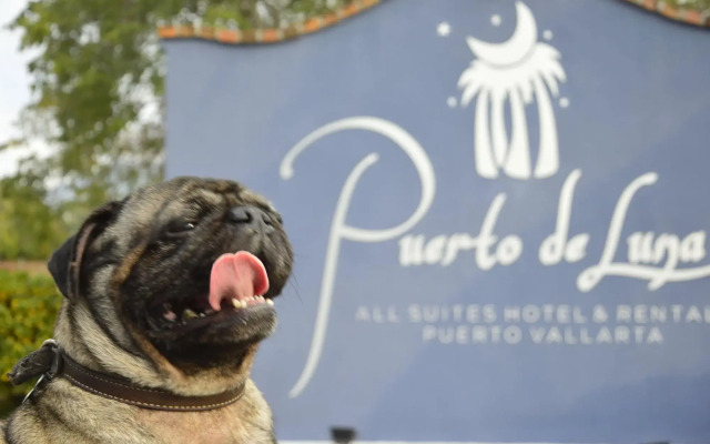 Puerto de Luna Pet Friendly & Family Suites Hotel