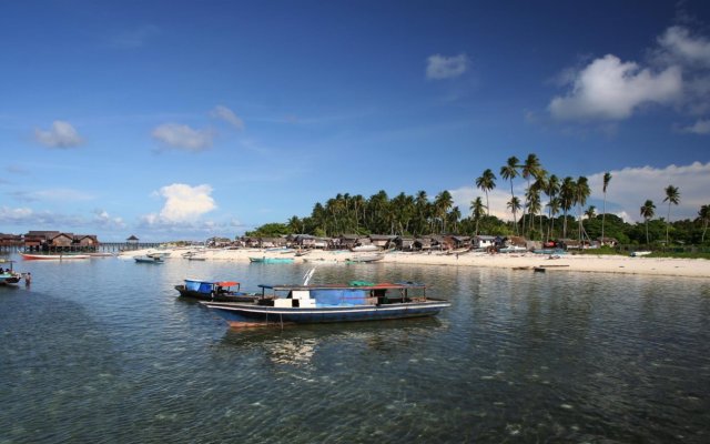 Seahorse Sipadan Scuba