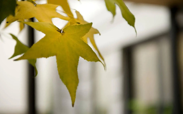 Three Crowns Hotel Prague