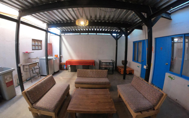 Rey Lagarto Hostel