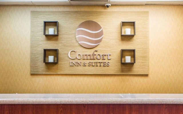 Comfort Inn & Suites at Stone Mountain