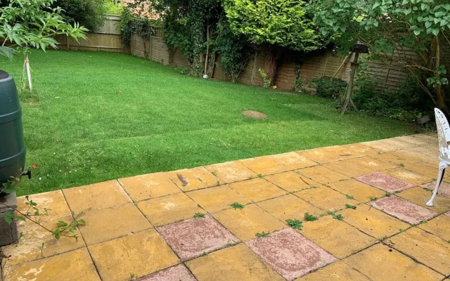 Woodland Retreat in High Wycombe