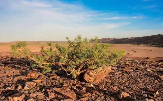 Twyfelfontein Adventure Camp