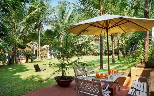 JUNGLEBAGH