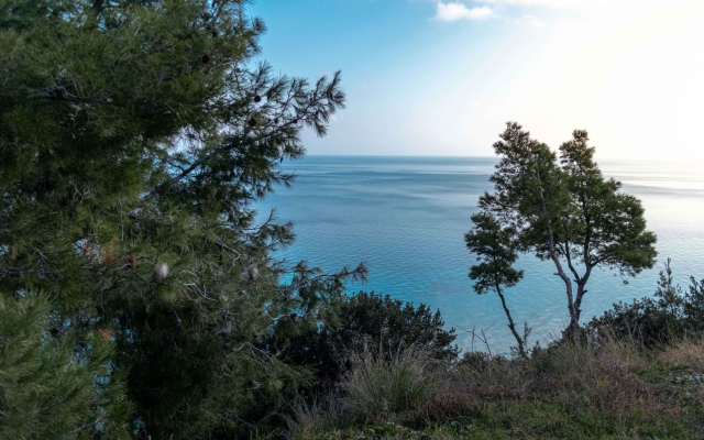 Zennova #18 Villa Sea-Cret