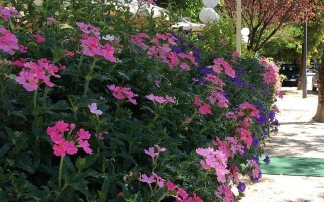 The Donatello Hotel Cesenatico