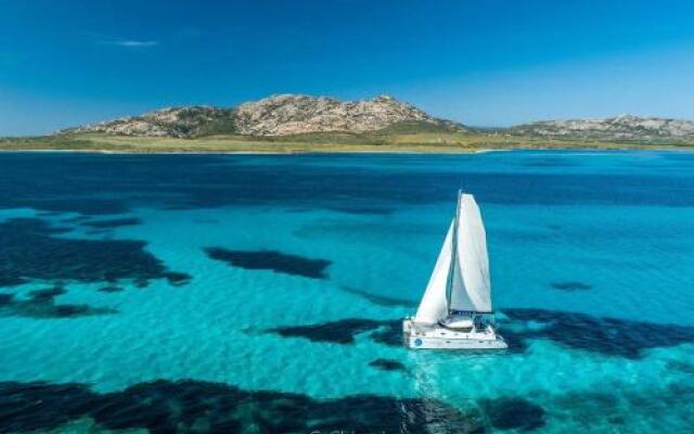 Amaremare BB