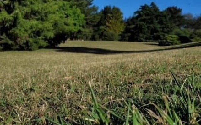 Village Park