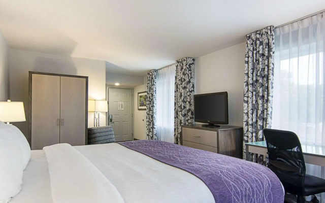 Comfort Inn Williamsburg Gateway