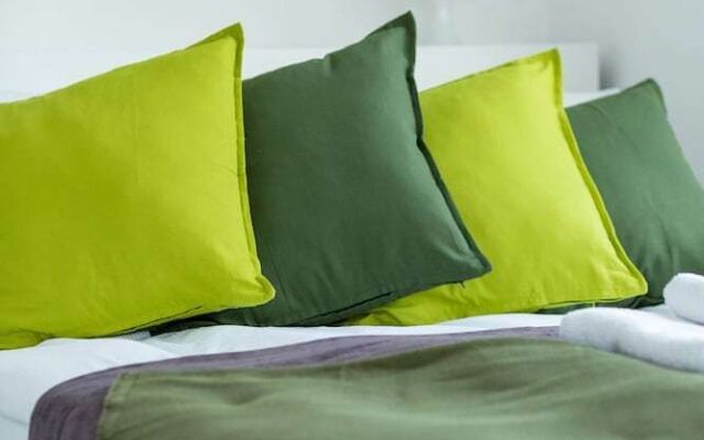 Elegant & Homely Apartment By Renters