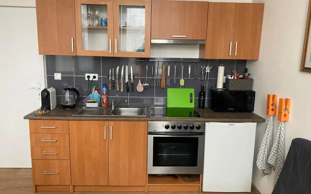 Apartmán v Lesní