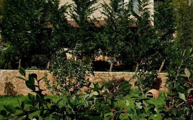 Trikalon Muses Art Suites