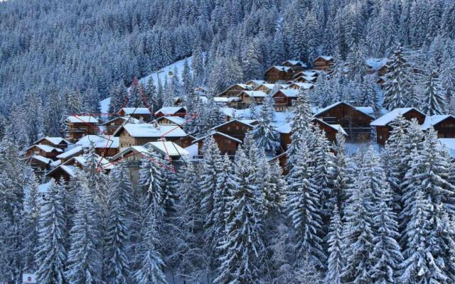 Chalet La Tania, 8 pièces, 15 personnes - FR-1-513-21