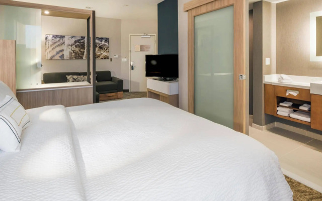 SpringHill Suites by Marriott Fishkill