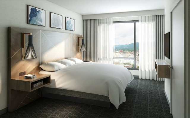 Embassy Suites By Hilton Asheville Downtown