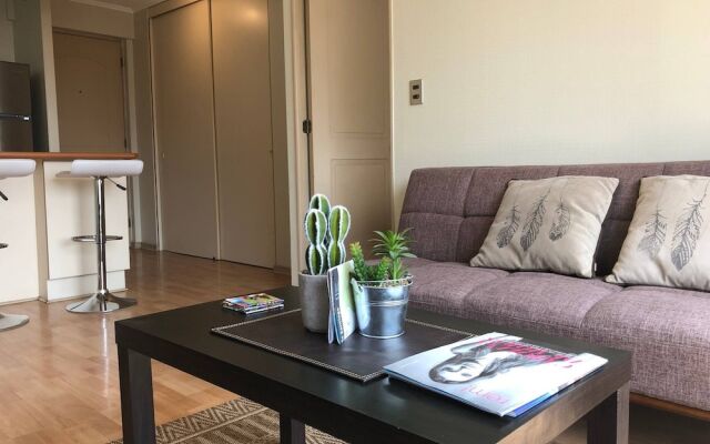 Apartment in Downtown of Santiago, Chile, one Room