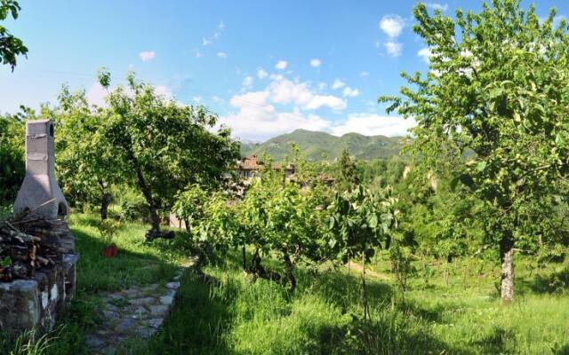 Mozzanella Holiday Home in Garfagnana
