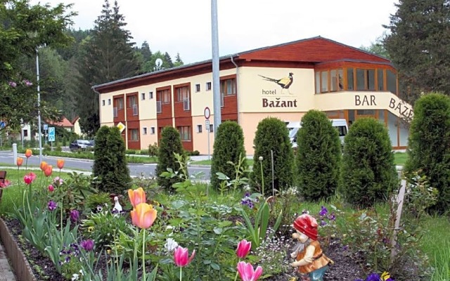 Hotel Bazant